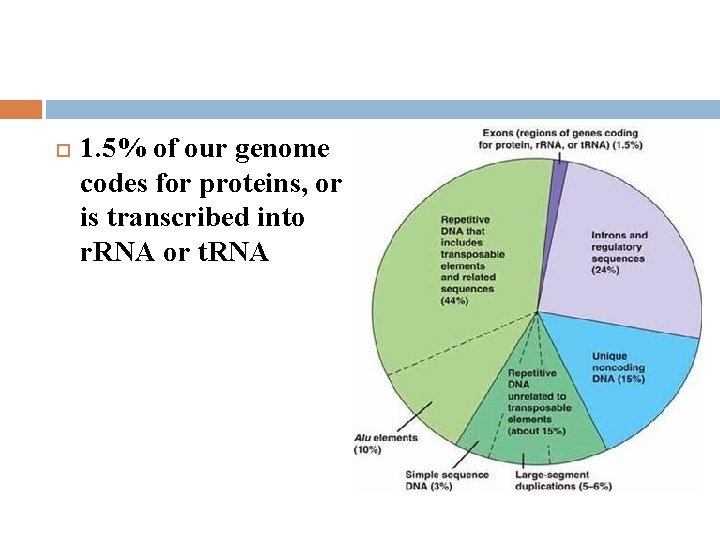  1. 5% of our genome codes for proteins, or is transcribed into r.