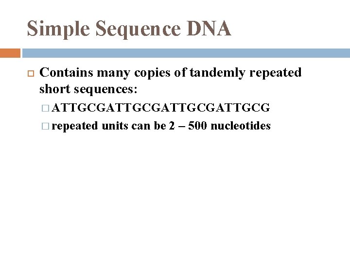 Simple Sequence DNA Contains many copies of tandemly repeated short sequences: � ATTGCGATTGCG �