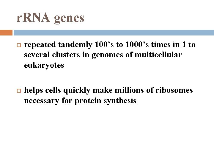 r. RNA genes repeated tandemly 100’s to 1000’s times in 1 to several clusters
