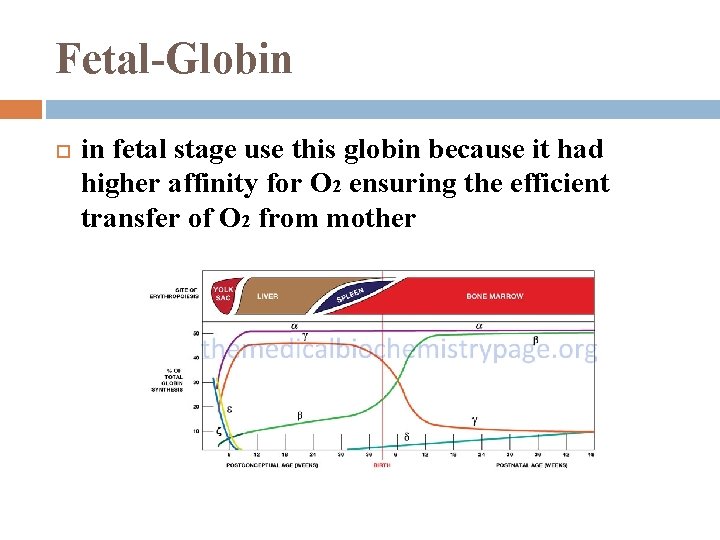 Fetal-Globin in fetal stage use this globin because it had higher affinity for O