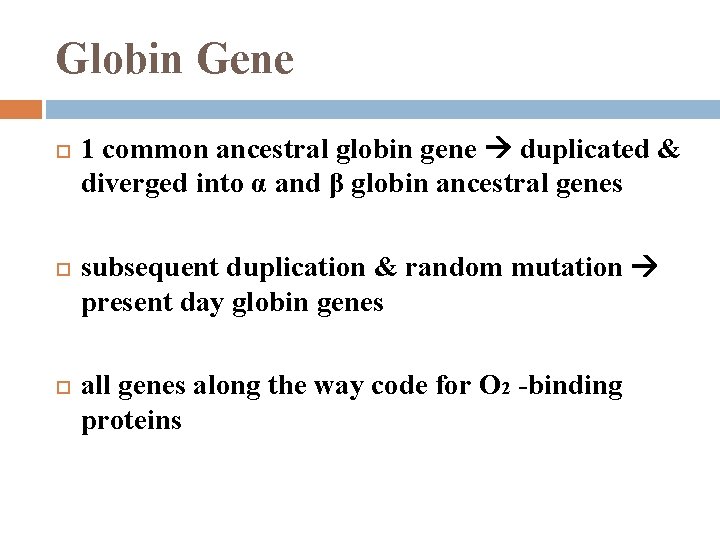 Globin Gene 1 common ancestral globin gene duplicated & diverged into α and β