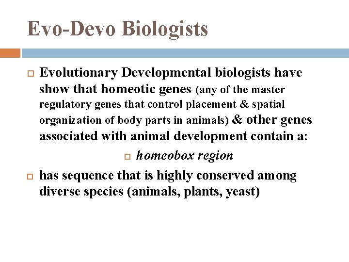 Evo-Devo Biologists Evolutionary Developmental biologists have show that homeotic genes (any of the master