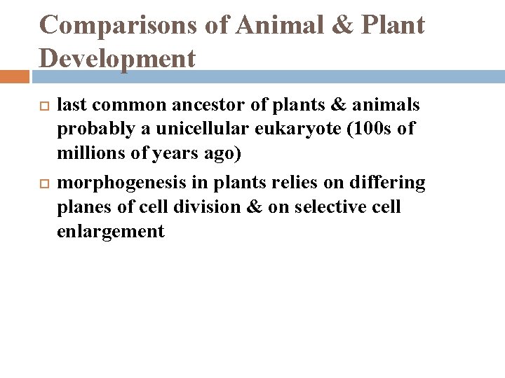 Comparisons of Animal & Plant Development last common ancestor of plants & animals probably