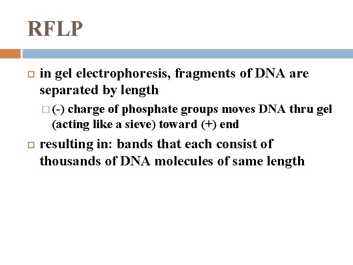 RFLP in gel electrophoresis, fragments of DNA are separated by length � (-) charge