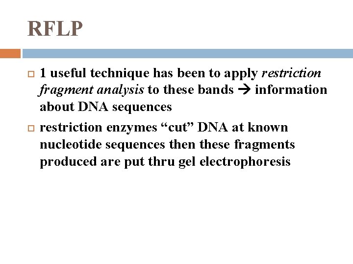 RFLP 1 useful technique has been to apply restriction fragment analysis to these bands