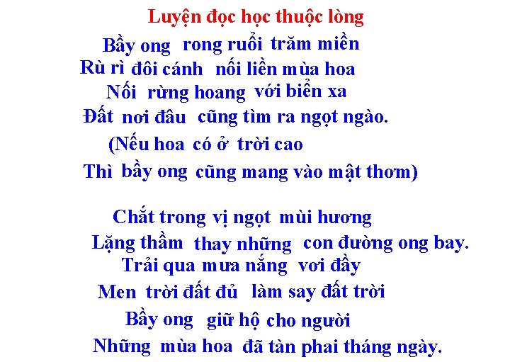 Luyện đọc học thuộc lòng Bầy ong ruổi trăm miền Rù rì đôi cánh
