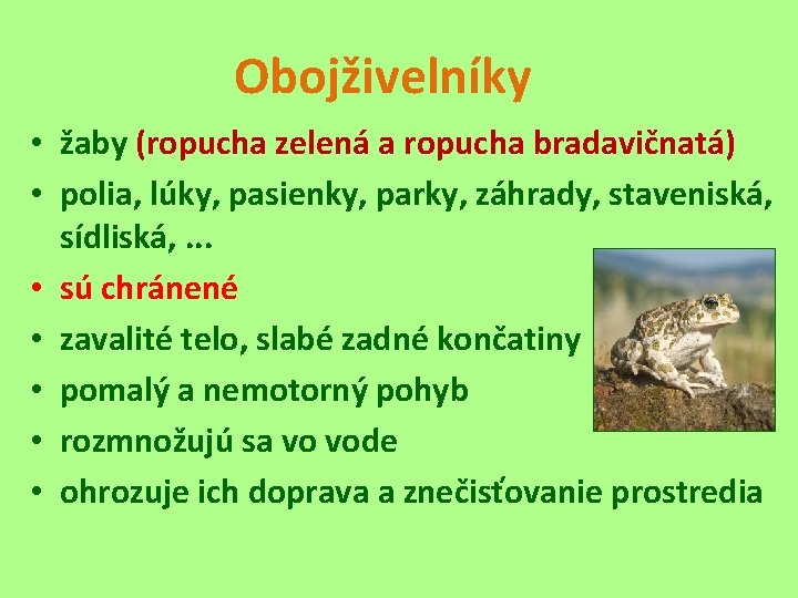 Obojživelníky • žaby (ropucha zelená a ropucha bradavičnatá) • polia, lúky, pasienky, parky, záhrady,