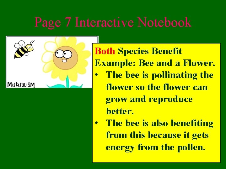 Page 7 Interactive Notebook Both Species Benefit Example: Bee and a Flower. • The