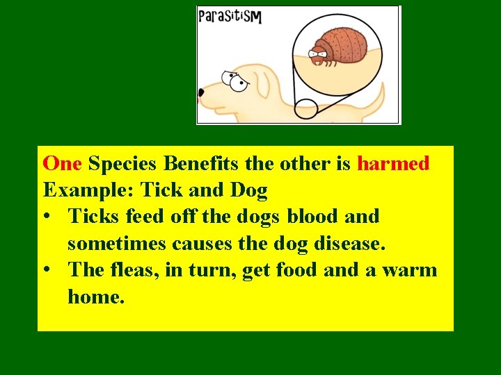 One Species Benefits the other is harmed Example: Tick and Dog • Ticks feed