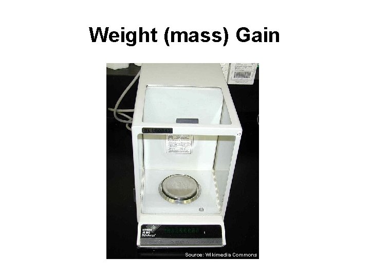 Weight (mass) Gain Source: Wikimedia Commons Weight (mass) Gain Source: Wikimedia Commons