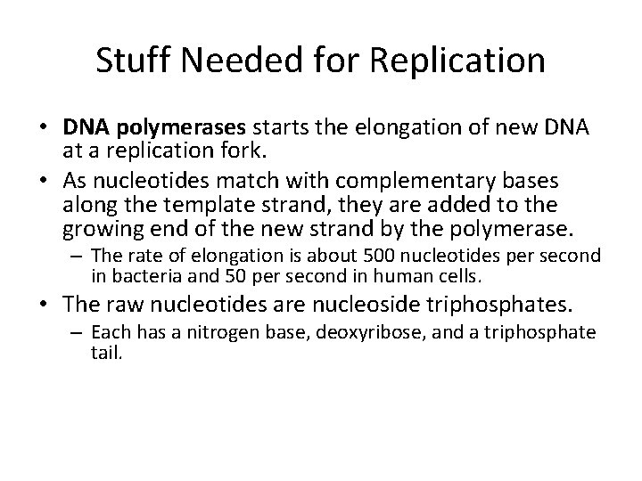 Stuff Needed for Replication • DNA polymerases starts the elongation of new DNA at