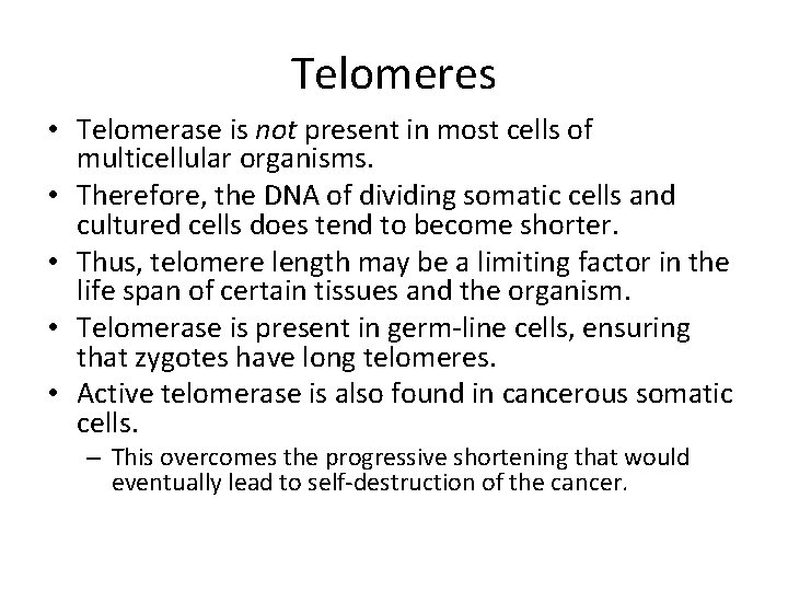 Telomeres • Telomerase is not present in most cells of multicellular organisms. • Therefore,