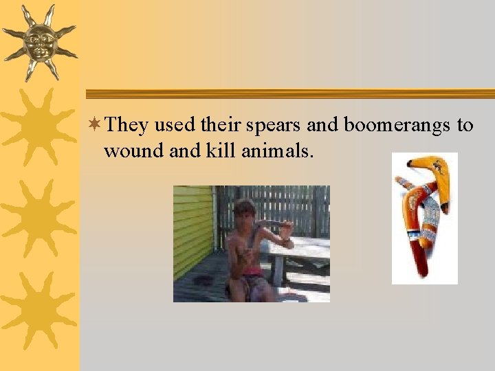 ¬They used their spears and boomerangs to wound and kill animals. 
