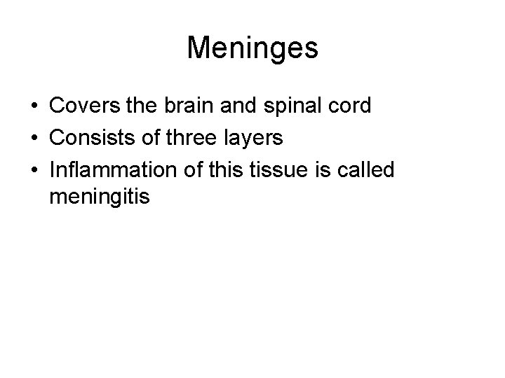 Meninges • Covers the brain and spinal cord • Consists of three layers • Meninges • Covers the brain and spinal cord • Consists of three layers •