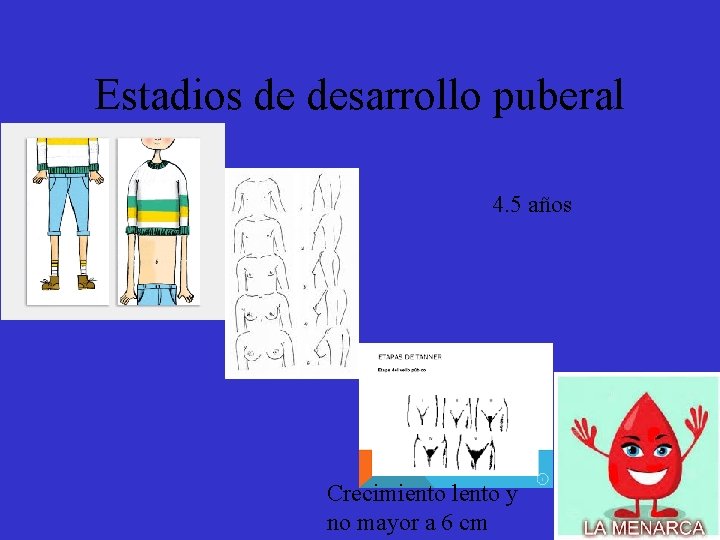 Estadios de desarrollo puberal 4. 5 años Crecimiento lento y no mayor a 6