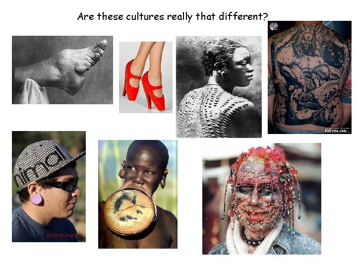 Are these cultures really that different?  Are these cultures really that different?
