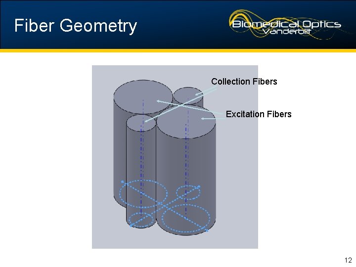 Fiber Geometry Collection Fibers Excitation Fibers 12 