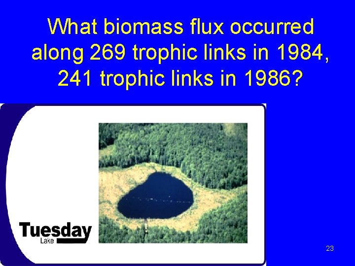 What biomass flux occurred along 269 trophic links in 1984, 241 trophic links in What biomass flux occurred along 269 trophic links in 1984, 241 trophic links in