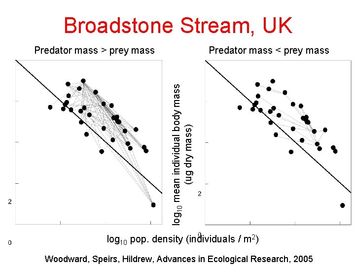 Broadstone Stream, UK Predator mass < prey mass log 10 mean individual body mass Broadstone Stream, UK Predator mass < prey mass log 10 mean individual body mass