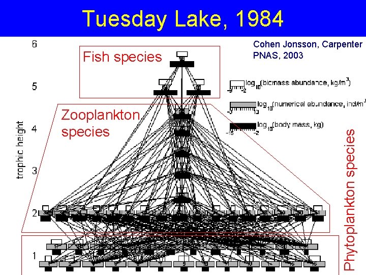 Tuesday Lake, 1984 Zooplankton species Phytoplankton species Fish species Cohen Jonsson, Carpenter PNAS, 2003 Tuesday Lake, 1984 Zooplankton species Phytoplankton species Fish species Cohen Jonsson, Carpenter PNAS, 2003