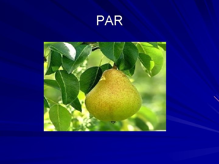 PAR 