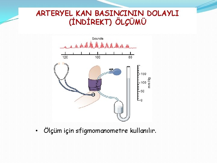 ARTERYEL KAN BASINCININ DOLAYLI (İNDİREKT) ÖLÇÜMÜ • Ölçüm için sfigmomanometre kullanılır. 