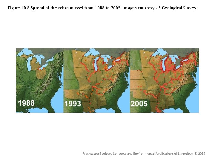 Figure 10. 8 Spread of the zebra mussel from 1988 to 2005. Images courtesy Figure 10. 8 Spread of the zebra mussel from 1988 to 2005. Images courtesy