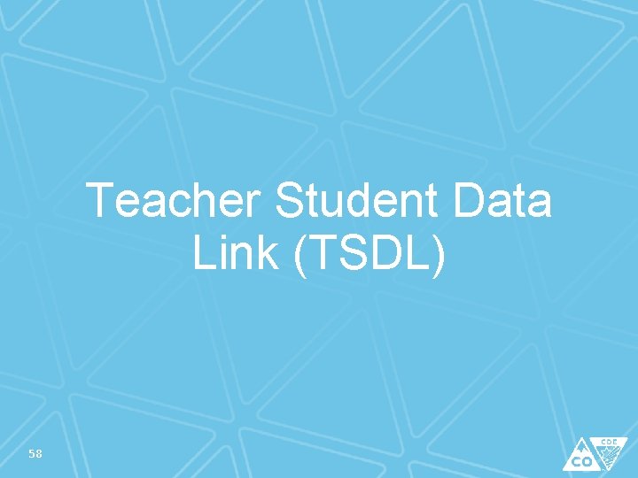 Teacher Student Data Link (TSDL) 58 