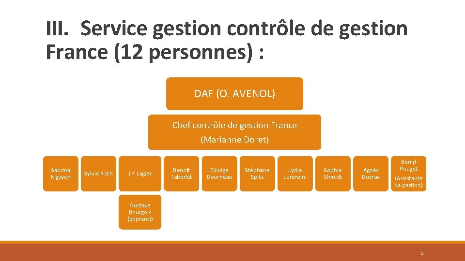 III. Service gestion contrôle de gestion France (12 personnes) : DAF (O. AVENOL) Chef