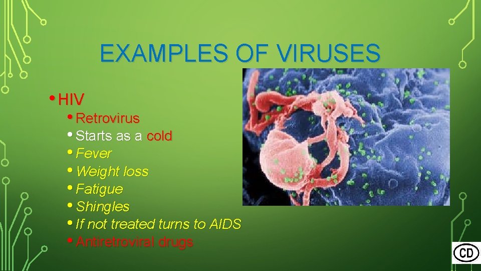 EXAMPLES OF VIRUSES • HIV • Retrovirus • Starts as a cold • Fever