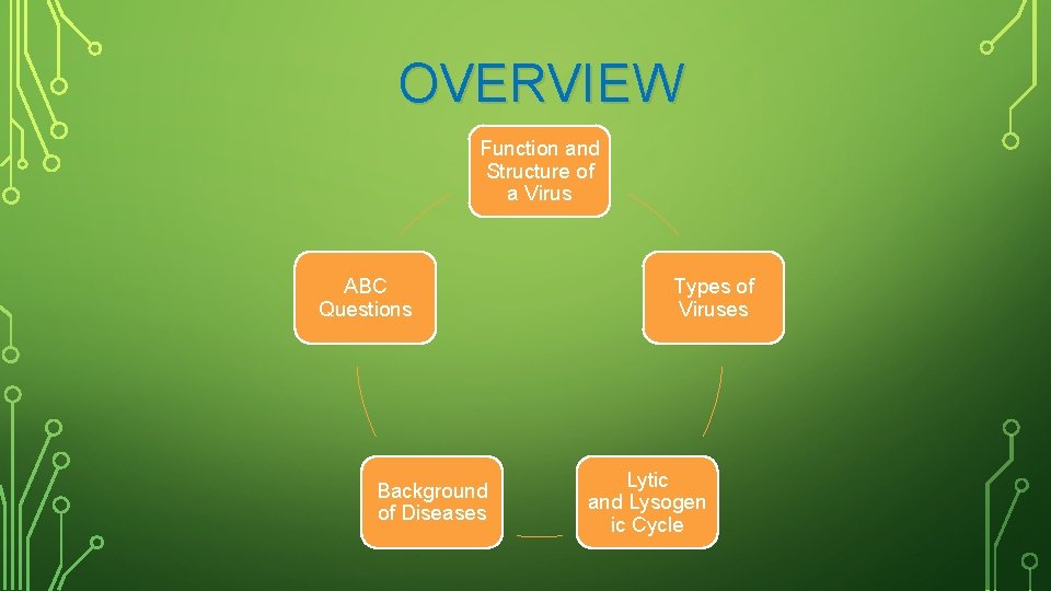 OVERVIEW Function and Structure of a Virus ABC Questions Background of Diseases Types of