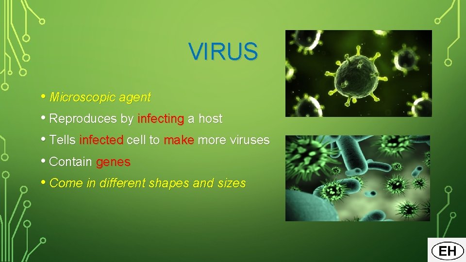 VIRUS • Microscopic agent • Reproduces by infecting a host • Tells infected cell