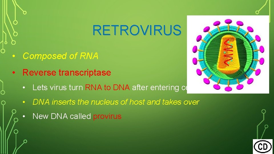 RETROVIRUS • Composed of RNA • Reverse transcriptase • Lets virus turn RNA to