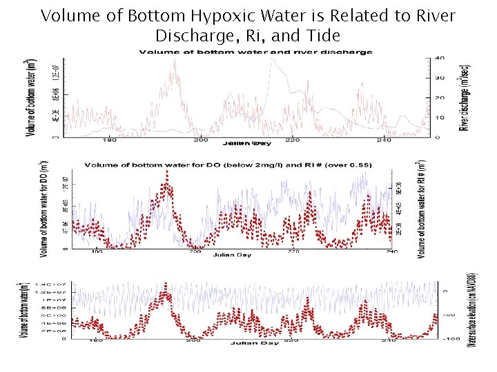 Volume of Bottom Hypoxic Water is Related to River Discharge, Ri, and Tide 