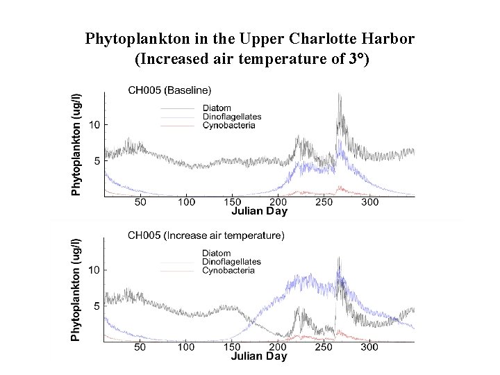 Phytoplankton in the Upper Charlotte Harbor (Increased air temperature of 3°) 