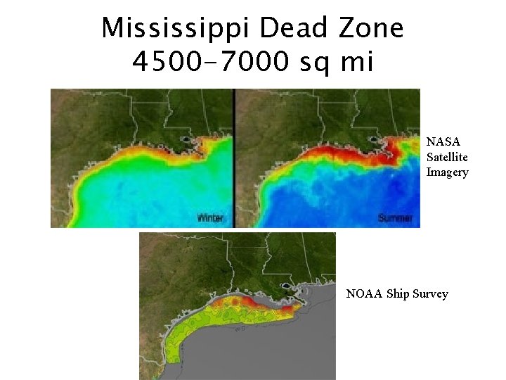 Mississippi Dead Zone 4500 -7000 sq mi NASA Satellite Imagery NOAA Ship Survey 