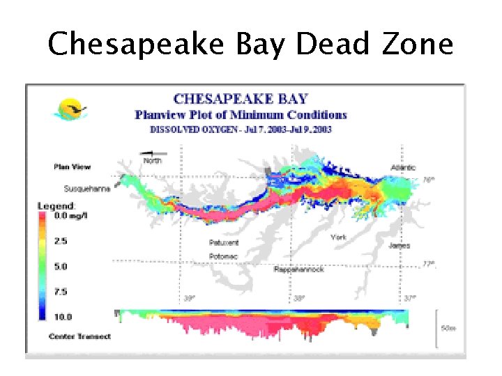 Chesapeake Bay Dead Zone 