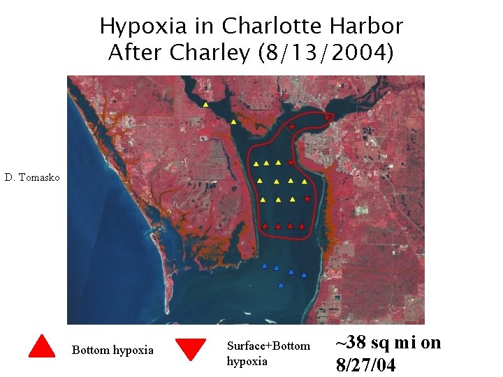 Hypoxia in Charlotte Harbor After Charley (8/13/2004) D. Tomasko Bottom hypoxia Surface+Bottom hypoxia ~38