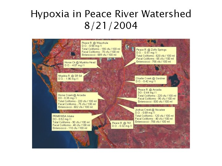 Hypoxia in Peace River Watershed 8/21/2004 