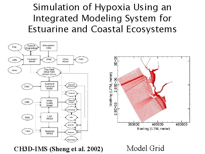 Simulation of Hypoxia Using an Integrated Modeling System for Estuarine and Coastal Ecosystems CH
