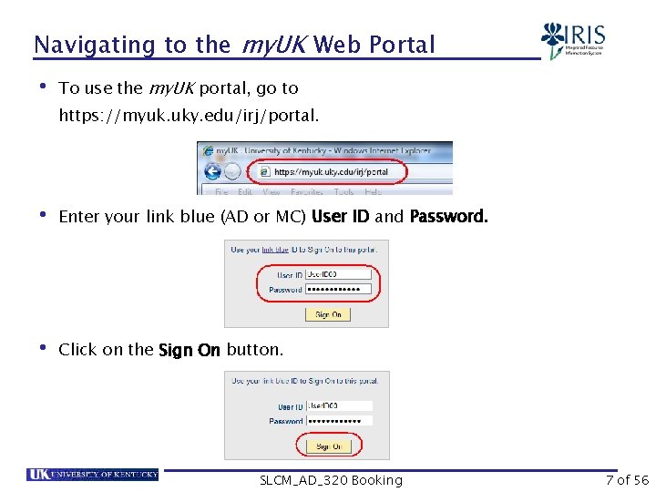 Navigating to the my. UK Web Portal • To use the my. UK portal,