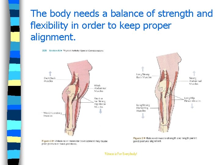 The body needs a balance of strength and flexibility in order to keep proper