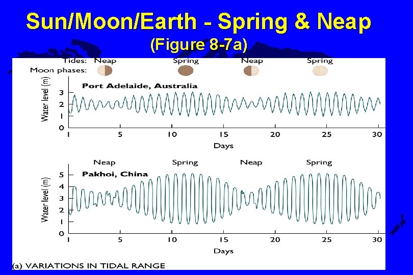 Sun/Moon/Earth - Spring & Neap (Figure 8 -7 a) 