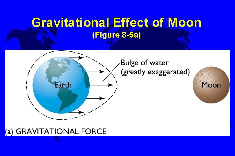 Gravitational Effect of Moon (Figure 8 -5 a) 