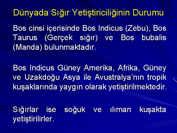 Dünyada Sığır Yetiştiriciliğinin Durumu Bos cinsi içerisinde Bos Indicus (Zebu), Bos Taurus (Gerçek sığır)