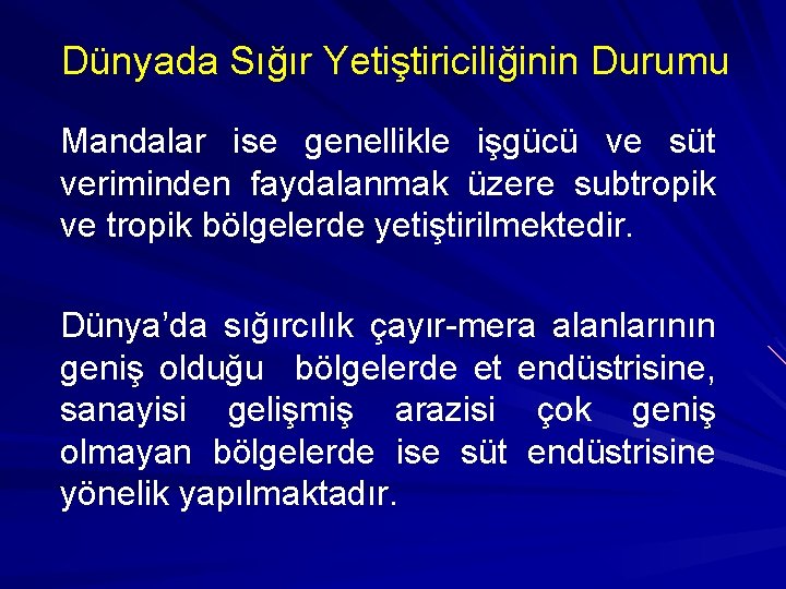 Dünyada Sığır Yetiştiriciliğinin Durumu Mandalar ise genellikle işgücü ve süt veriminden faydalanmak üzere subtropik