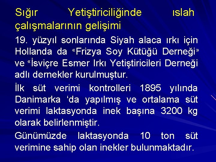 Sığır Yetiştiriciliğinde çalışmalarının gelişimi ıslah 19. yüzyıl sonlarında Siyah alaca ırkı için Hollanda da