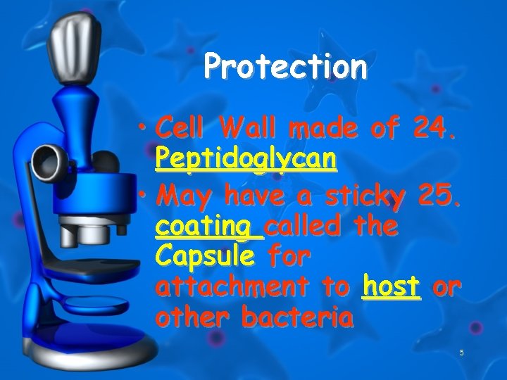 Protection • Cell Wall made of 24. Peptidoglycan • May have a sticky 25.
