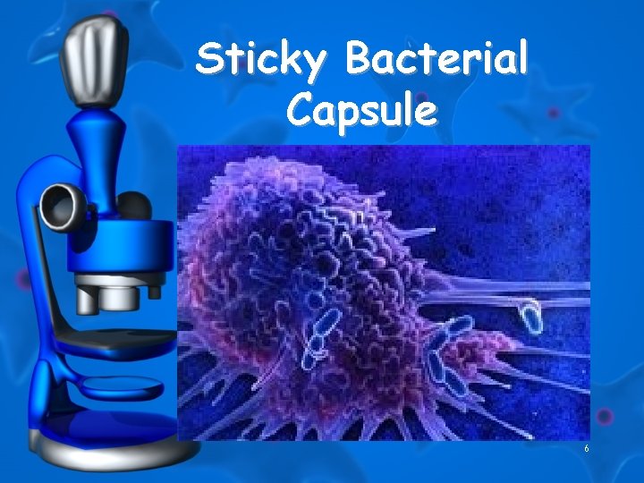 Sticky Bacterial Capsule 6 