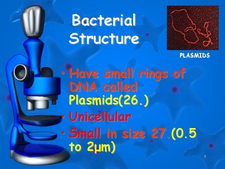 Bacterial Structure PLASMIDS • Have small rings of DNA called Plasmids(26. ) • Unicellular